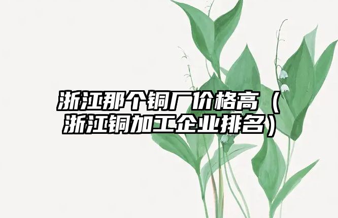 浙江那個(gè)銅廠價(jià)格高（浙江銅加工企業(yè)排名）