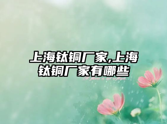 上海鈦銅廠家,上海鈦銅廠家有哪些