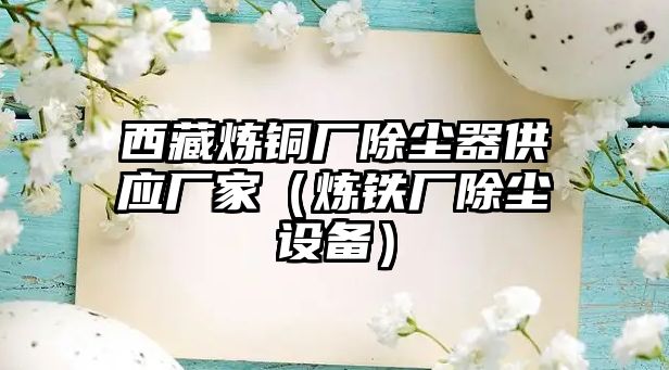 西藏?zé)掋~廠除塵器供應(yīng)廠家（煉鐵廠除塵設(shè)備）