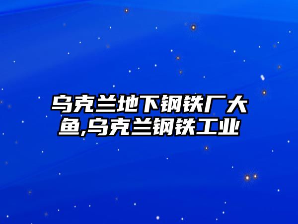 烏克蘭地下鋼鐵廠大魚,烏克蘭鋼鐵工業(yè)