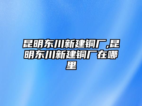 昆明東川新建銅廠,昆明東川新建銅廠在哪里