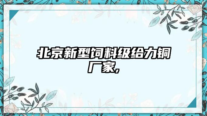 北京新型飼料級(jí)給力銅廠家,