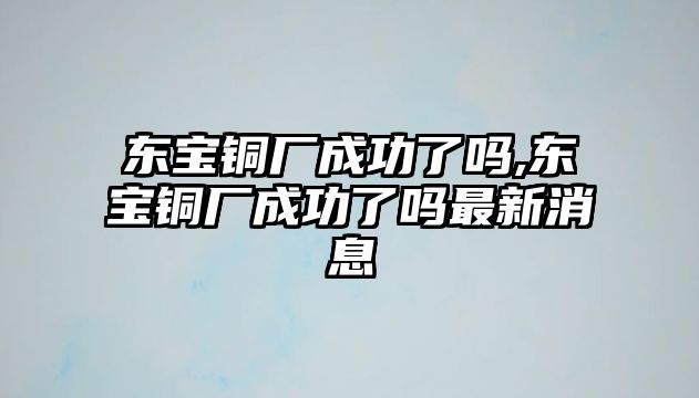 東寶銅廠成功了嗎,東寶銅廠成功了嗎最新消息