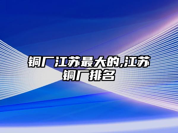 銅廠江蘇最大的,江蘇銅廠排名