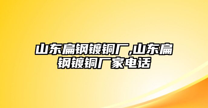 山東扁鋼鍍銅廠,山東扁鋼鍍銅廠家電話