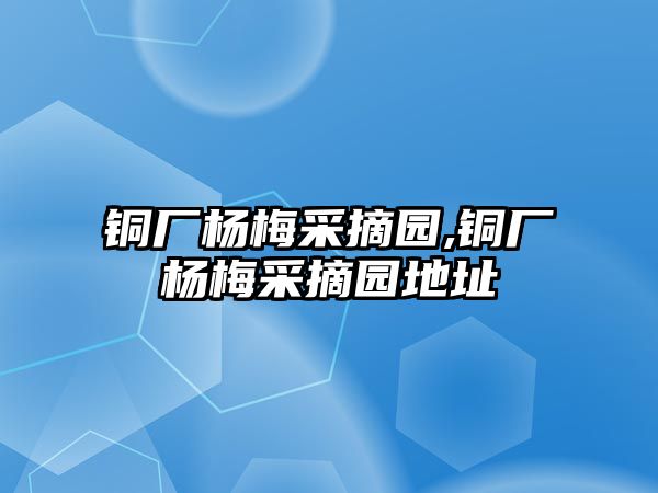 銅廠楊梅采摘園,銅廠楊梅采摘園地址