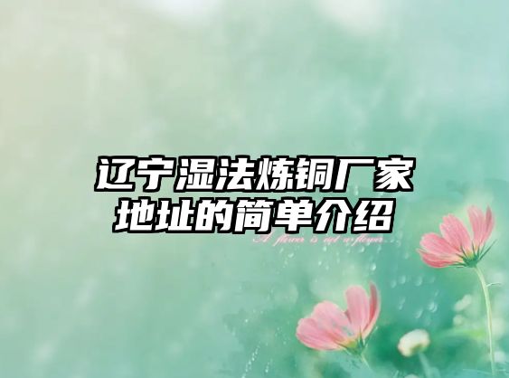 遼寧濕法煉銅廠家地址的簡單介紹