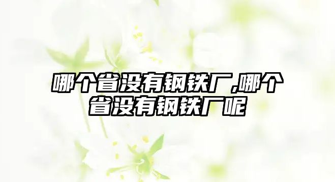 哪個省沒有鋼鐵廠,哪個省沒有鋼鐵廠呢