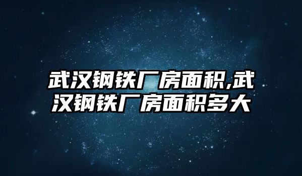 武漢鋼鐵廠房面積,武漢鋼鐵廠房面積多大