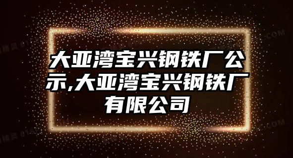 大亞灣寶興鋼鐵廠公示,大亞灣寶興鋼鐵廠有限公司