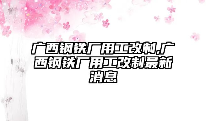 廣西鋼鐵廠用工改制,廣西鋼鐵廠用工改制最新消息