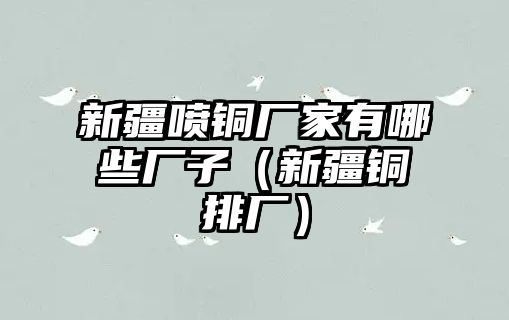 新疆噴銅廠家有哪些廠子（新疆銅排廠）