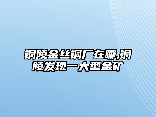 銅陵金絲銅廠在哪,銅陵發(fā)現(xiàn)一大型金礦