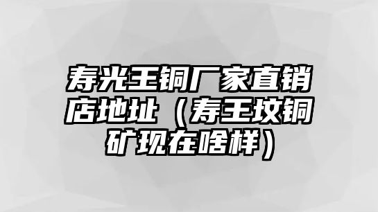 壽光王銅廠家直銷店地址（壽王墳銅礦現(xiàn)在啥樣）