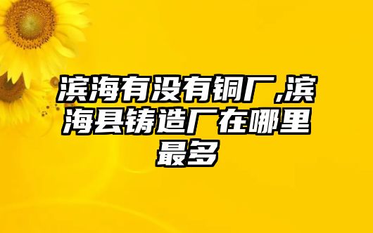 濱海有沒有銅廠,濱?？h鑄造廠在哪里最多