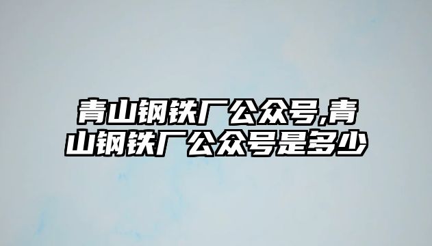 青山鋼鐵廠公眾號,青山鋼鐵廠公眾號是多少