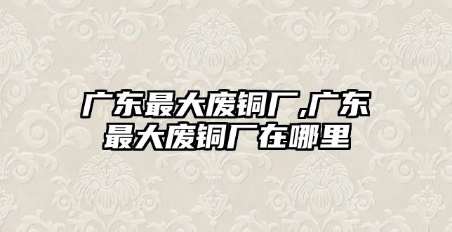 廣東最大廢銅廠,廣東最大廢銅廠在哪里