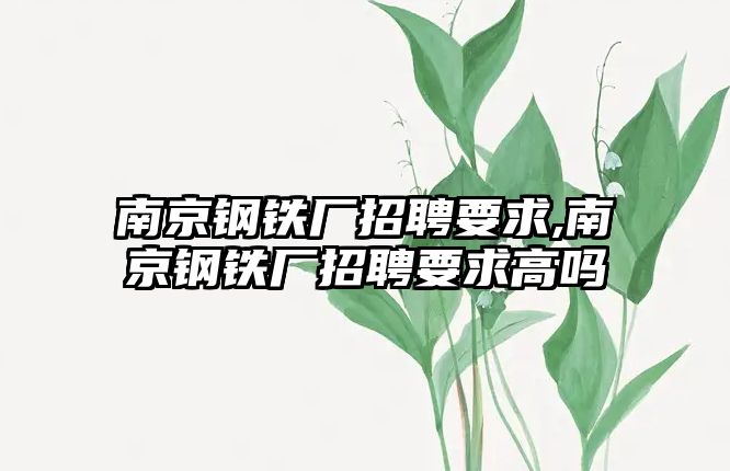 南京鋼鐵廠招聘要求,南京鋼鐵廠招聘要求高嗎