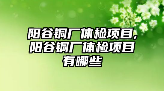 陽谷銅廠體檢項目,陽谷銅廠體檢項目有哪些