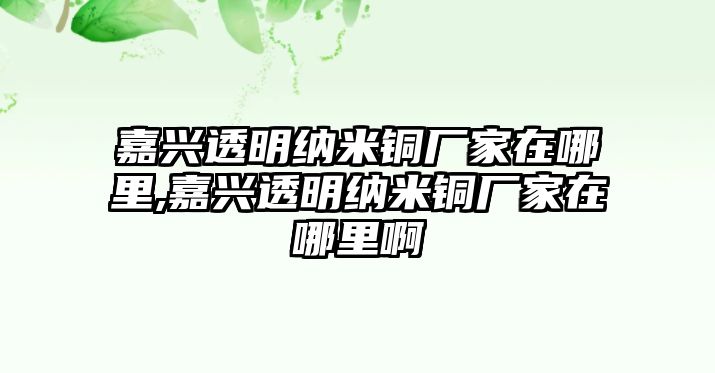 嘉興透明納米銅廠家在哪里,嘉興透明納米銅廠家在哪里啊