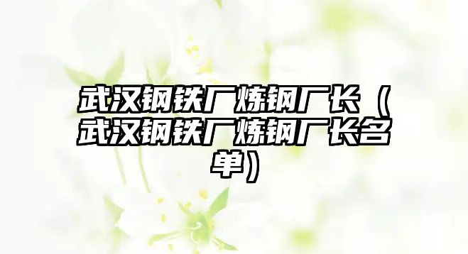 武漢鋼鐵廠煉鋼廠長（武漢鋼鐵廠煉鋼廠長名單）