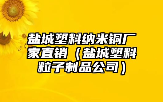 鹽城塑料納米銅廠家直銷（鹽城塑料粒子制品公司）