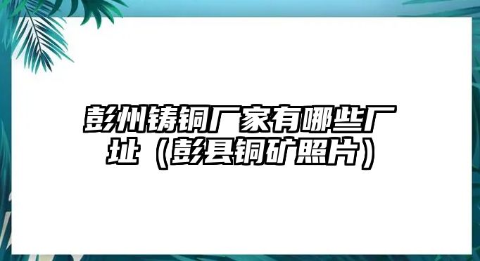 彭州鑄銅廠家有哪些廠址（彭縣銅礦照片）