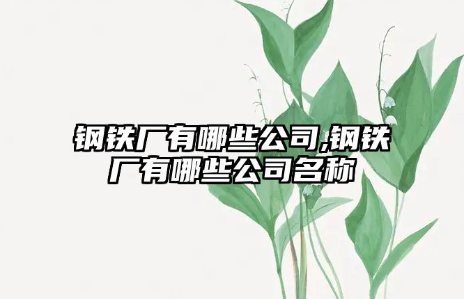 鋼鐵廠有哪些公司,鋼鐵廠有哪些公司名稱