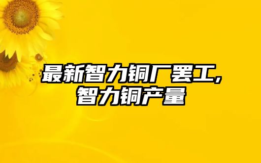 最新智力銅廠罷工,智力銅產(chǎn)量