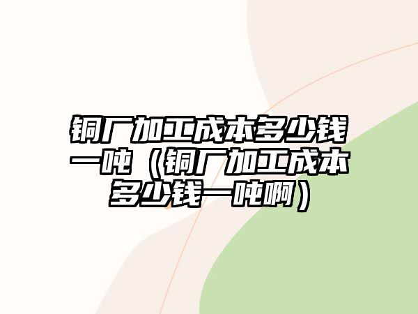 銅廠加工成本多少錢(qián)一噸（銅廠加工成本多少錢(qián)一噸?。? class=