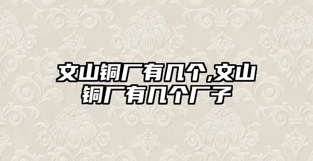 文山銅廠有幾個,文山銅廠有幾個廠子