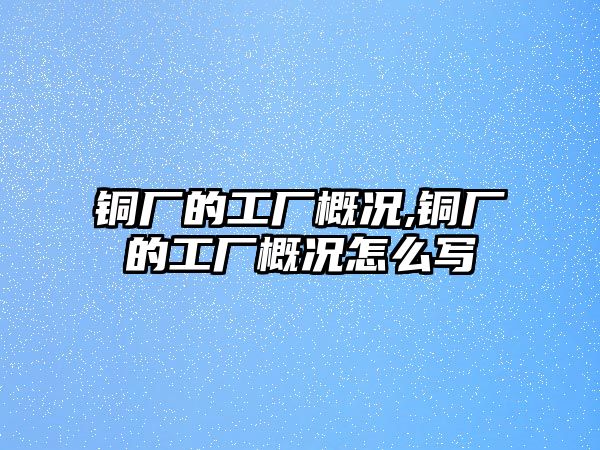 銅廠的工廠概況,銅廠的工廠概況怎么寫