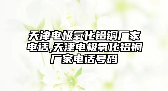 天津電極氧化鋁銅廠家電話,天津電極氧化鋁銅廠家電話號(hào)碼