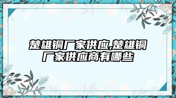 楚雄銅廠家供應(yīng),楚雄銅廠家供應(yīng)商有哪些