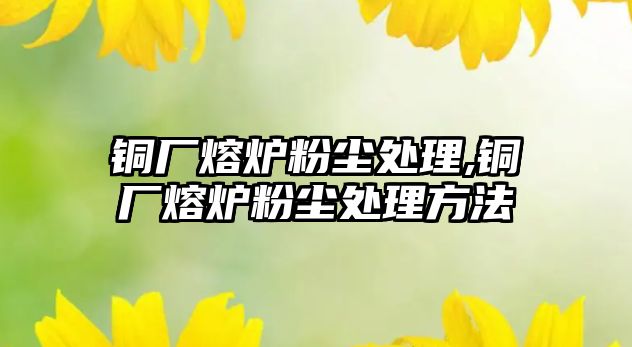 銅廠熔爐粉塵處理,銅廠熔爐粉塵處理方法