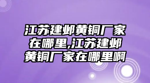 江蘇建鄴黃銅廠家在哪里,江蘇建鄴黃銅廠家在哪里啊