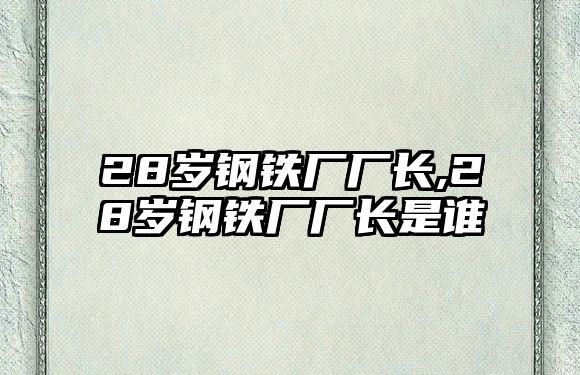 28歲鋼鐵廠廠長,28歲鋼鐵廠廠長是誰