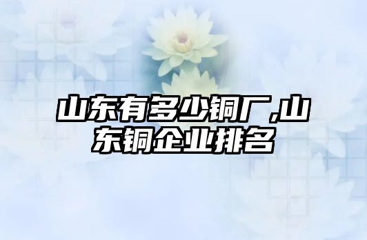 山東有多少銅廠,山東銅企業(yè)排名