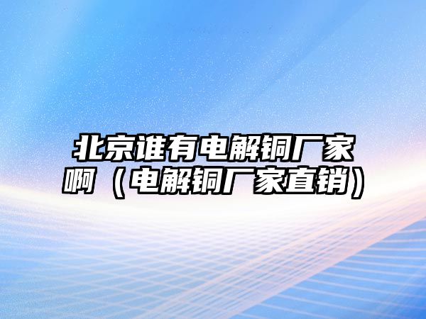 北京誰(shuí)有電解銅廠家?。娊忏~廠家直銷(xiāo)）