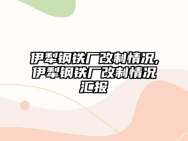 伊犁鋼鐵廠改制情況,伊犁鋼鐵廠改制情況匯報