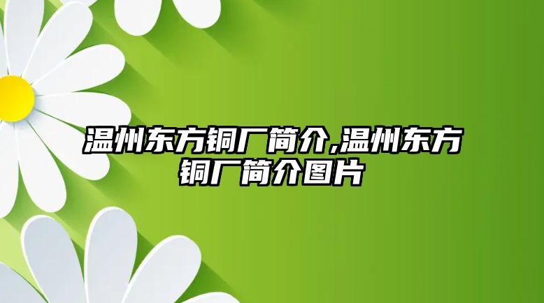 溫州東方銅廠簡(jiǎn)介,溫州東方銅廠簡(jiǎn)介圖片