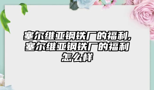 塞爾維亞鋼鐵廠的福利,塞爾維亞鋼鐵廠的福利怎么樣