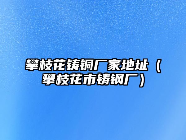 攀枝花鑄銅廠家地址（攀枝花市鑄鋼廠）