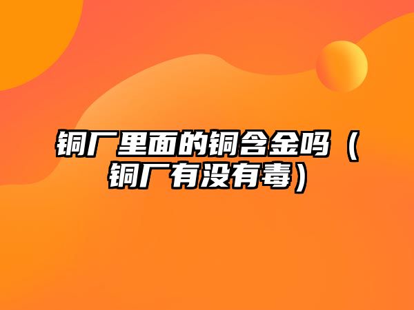 銅廠里面的銅含金嗎（銅廠有沒(méi)有毒）