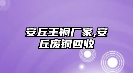 安丘王銅廠家,安丘廢銅回收