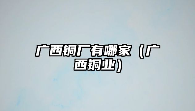 廣西銅廠有哪家（廣西銅業(yè)）