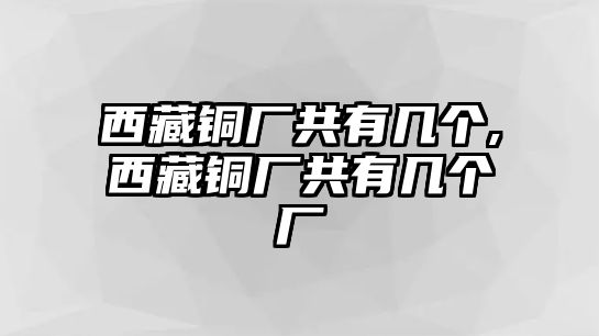 西藏銅廠共有幾個,西藏銅廠共有幾個廠