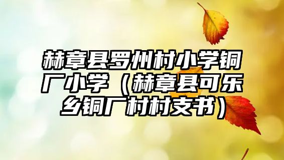 赫章縣羅州村小學銅廠小學（赫章縣可樂鄉(xiāng)銅廠村村支書）