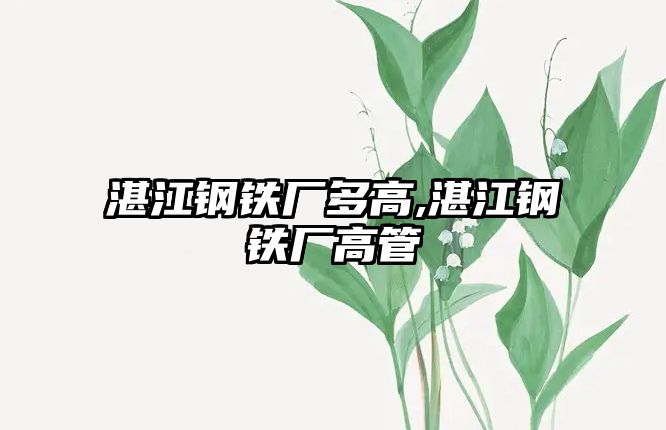 湛江鋼鐵廠多高,湛江鋼鐵廠高管