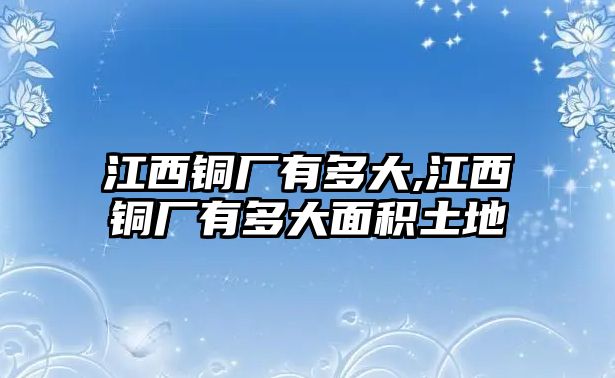 江西銅廠有多大,江西銅廠有多大面積土地